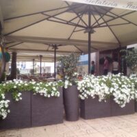 Thumbnail for the listing's main image